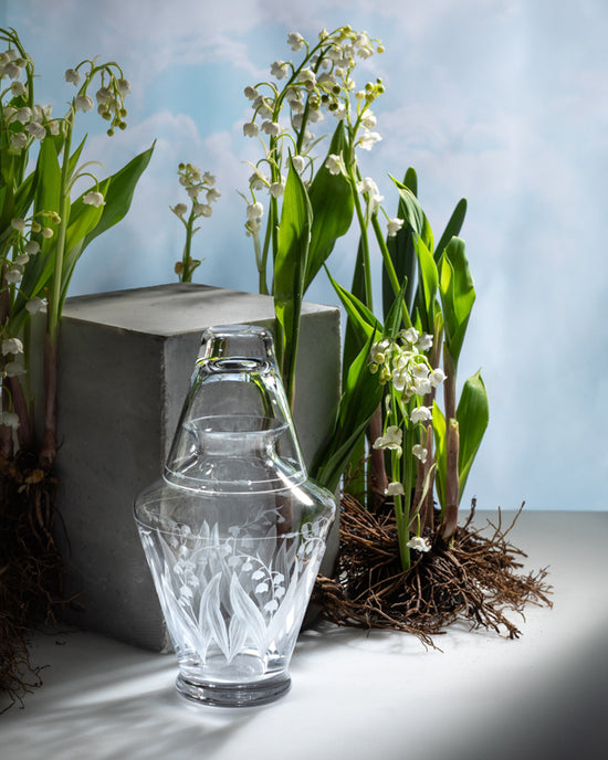 Lily of the Valley