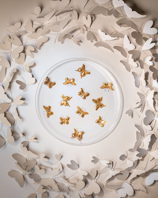 Fly Fusion Butterfly