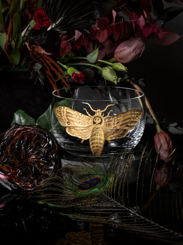 Cabinet of Curiosities Butterfly