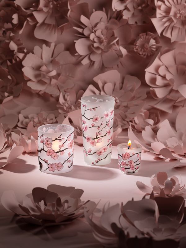 Sakura - Flowers with Gold Center