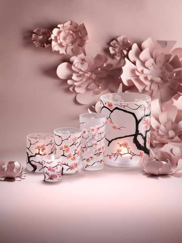 Sakura - Flowers with Gold Center