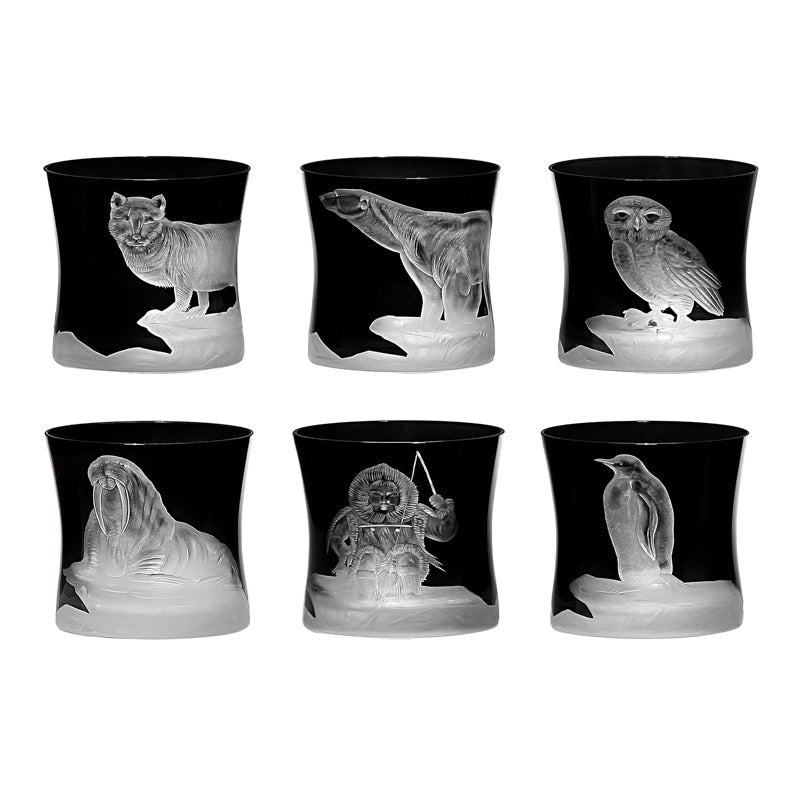 Arctic Snow Owl