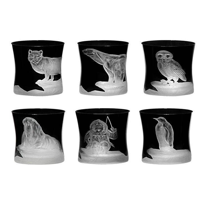 Arctic Snow Owl