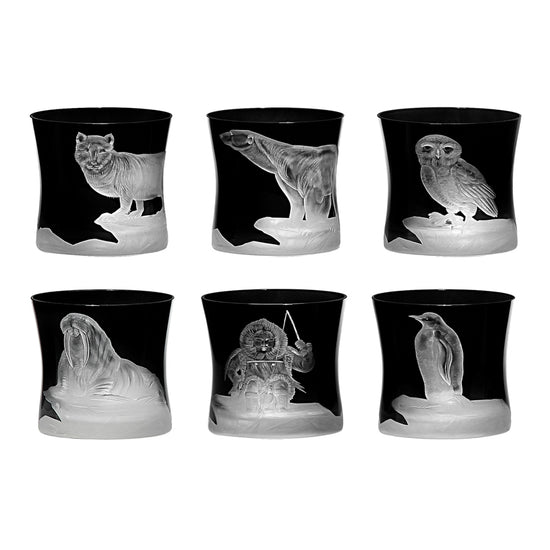 Arctic Collection Set