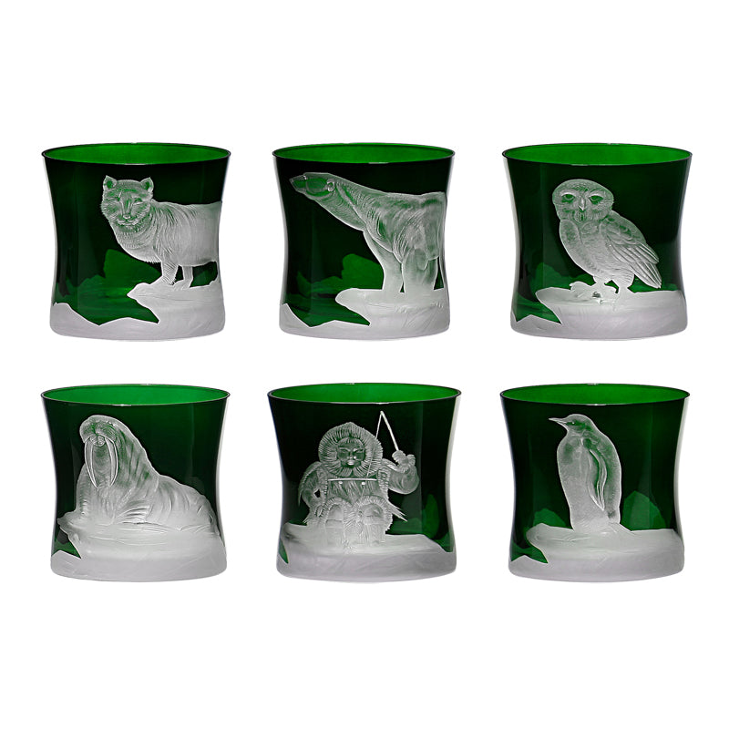 Arctic Collection Set