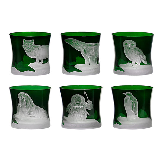 Arctic Collection Set