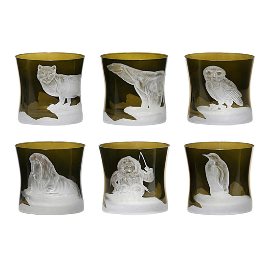 Arctic Collection Set