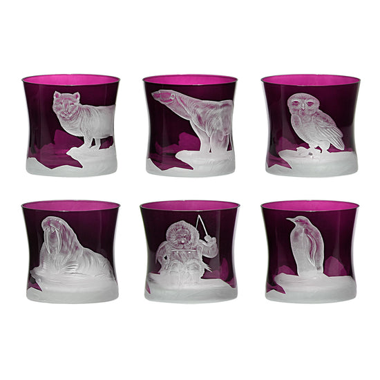 Arctic Collection Set