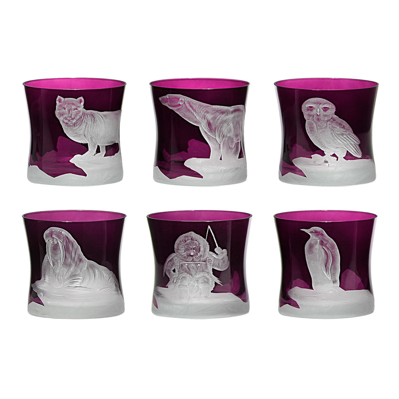 Arctic Collection Set