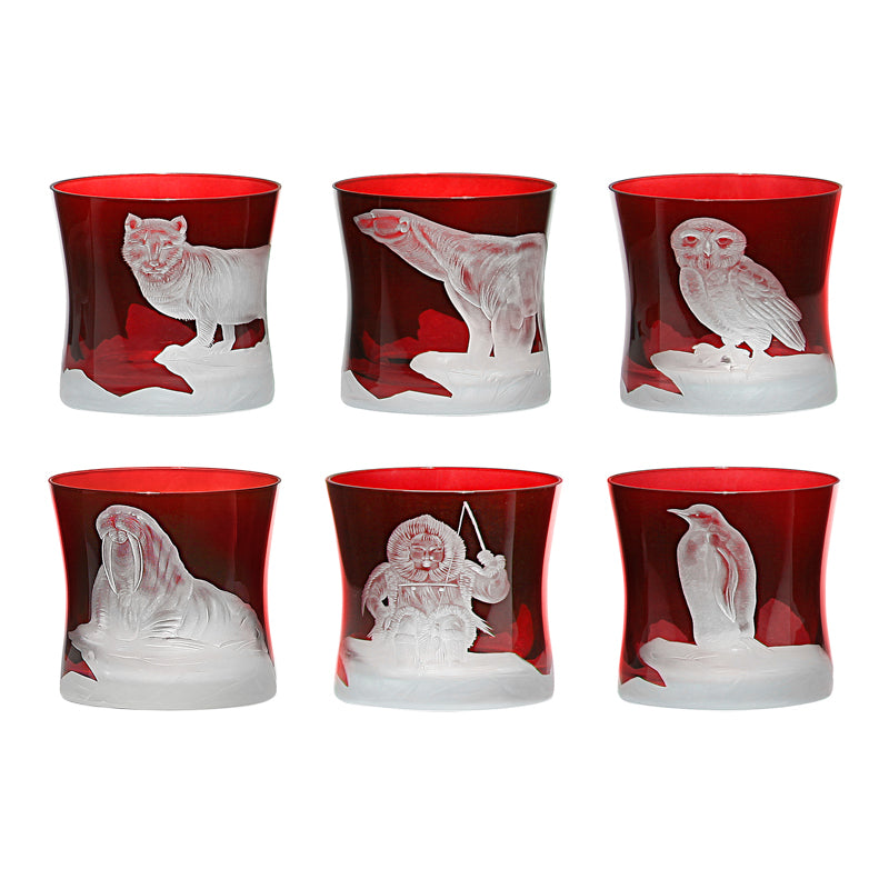 Arctic Collection Set