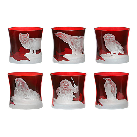 Arctic Collection Set