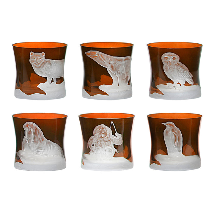 Arctic Collection Set