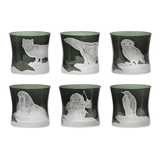 Arctic Collection Set