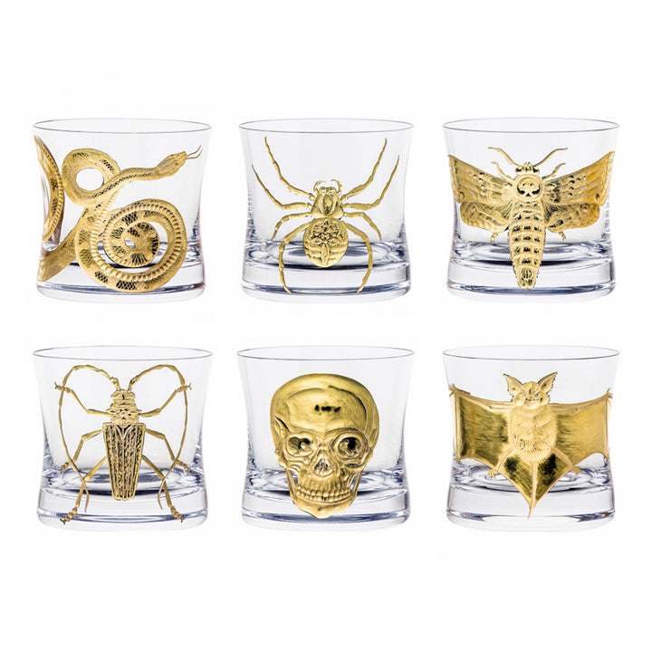 Cabinet of Curiosities Spider