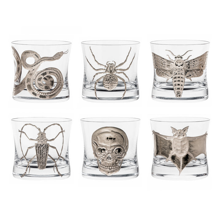 Cabinet of Curiosities Collection Set