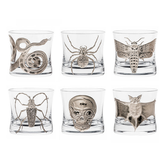 Cabinet of Curiosities Skull