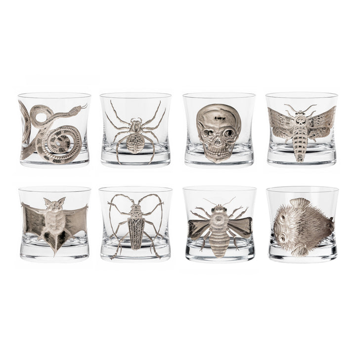 Cabinet of Curiosities Collection Set