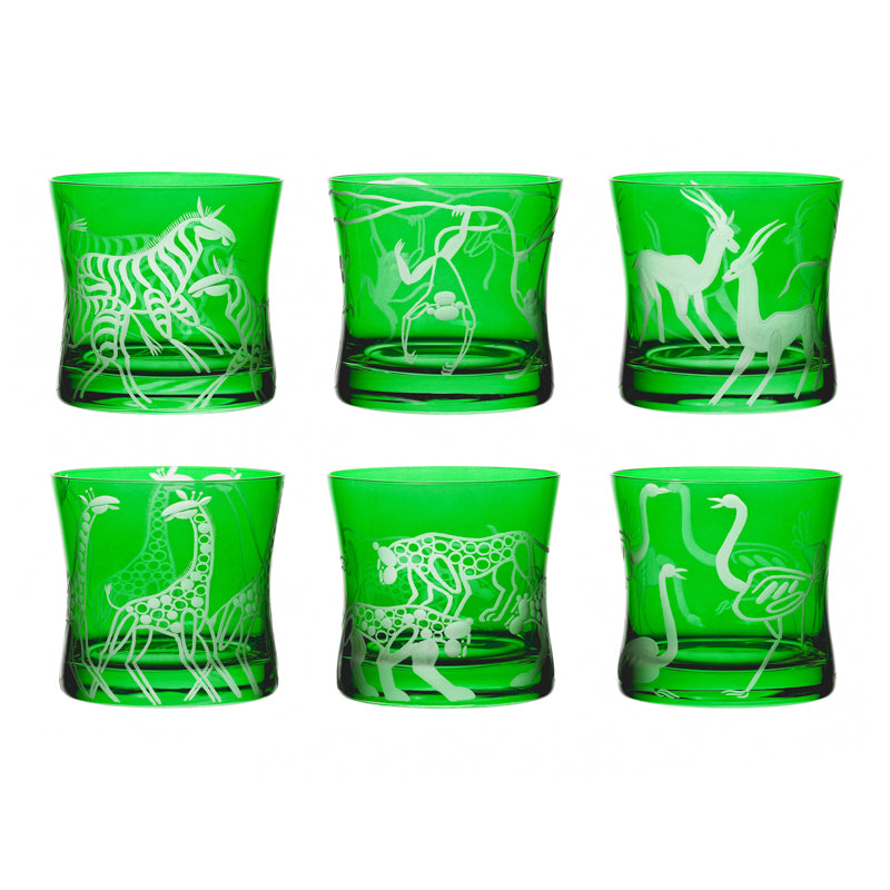 Safari Giraffes