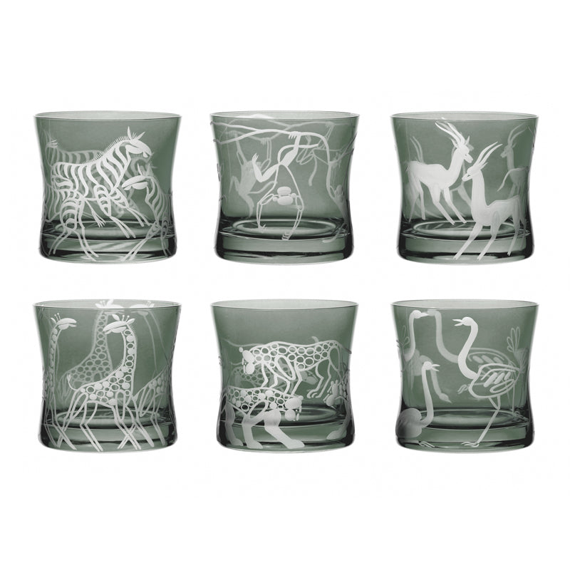 Safari Giraffes