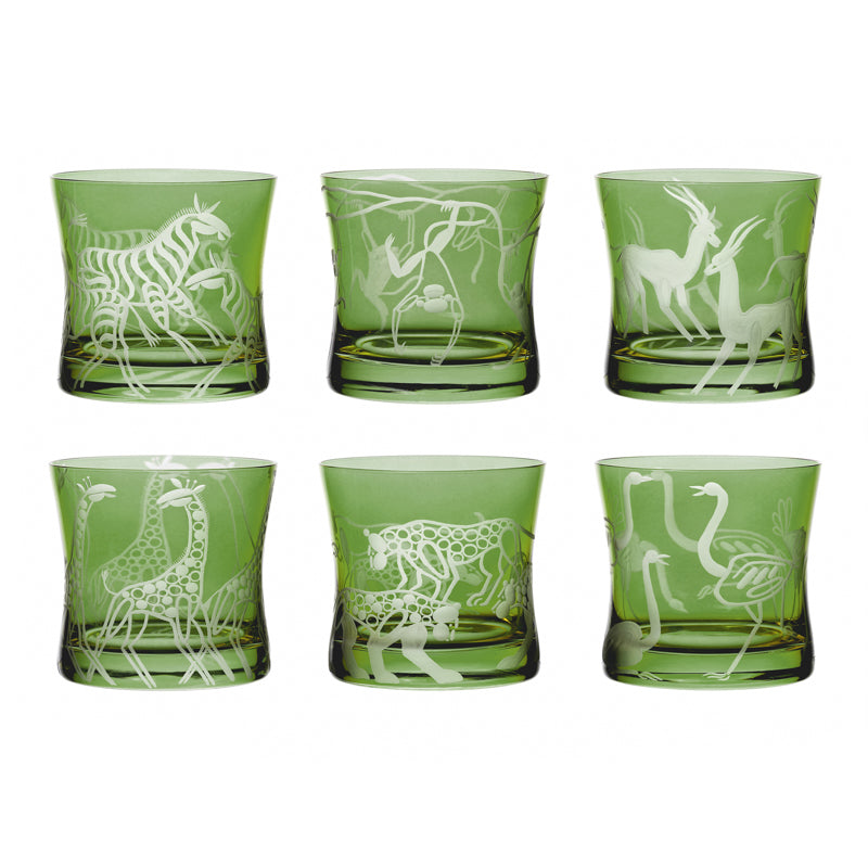 Safari Giraffes