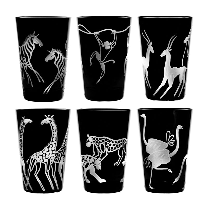 Safari Giraffes