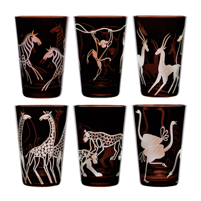 Safari Giraffes
