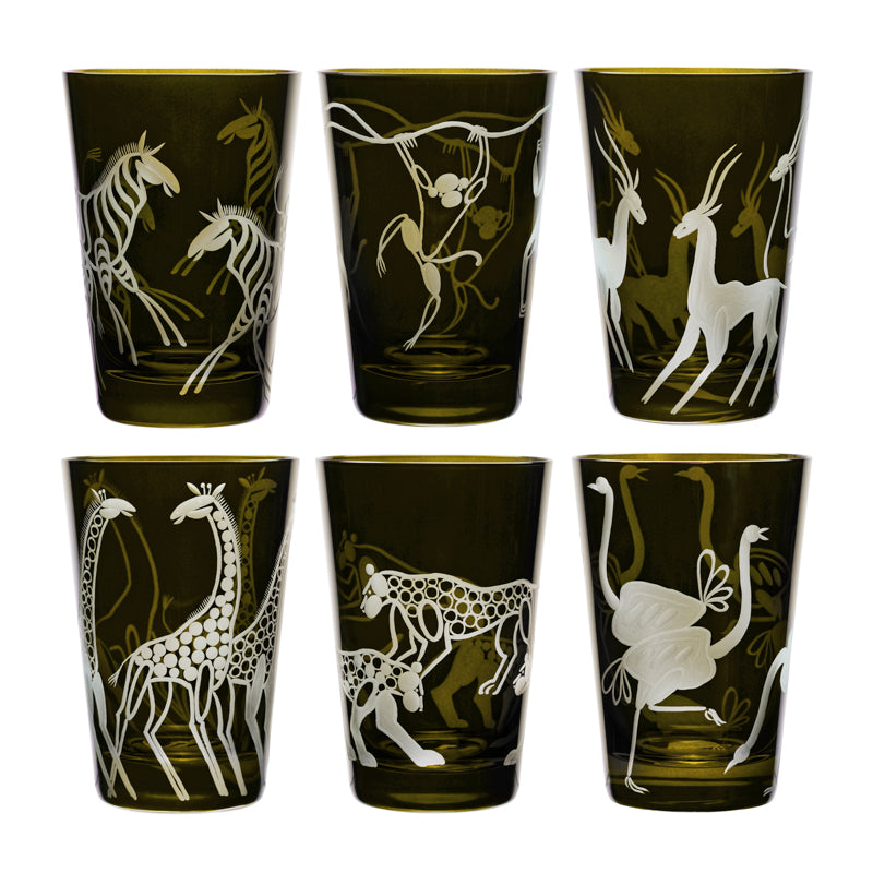 Safari Giraffes