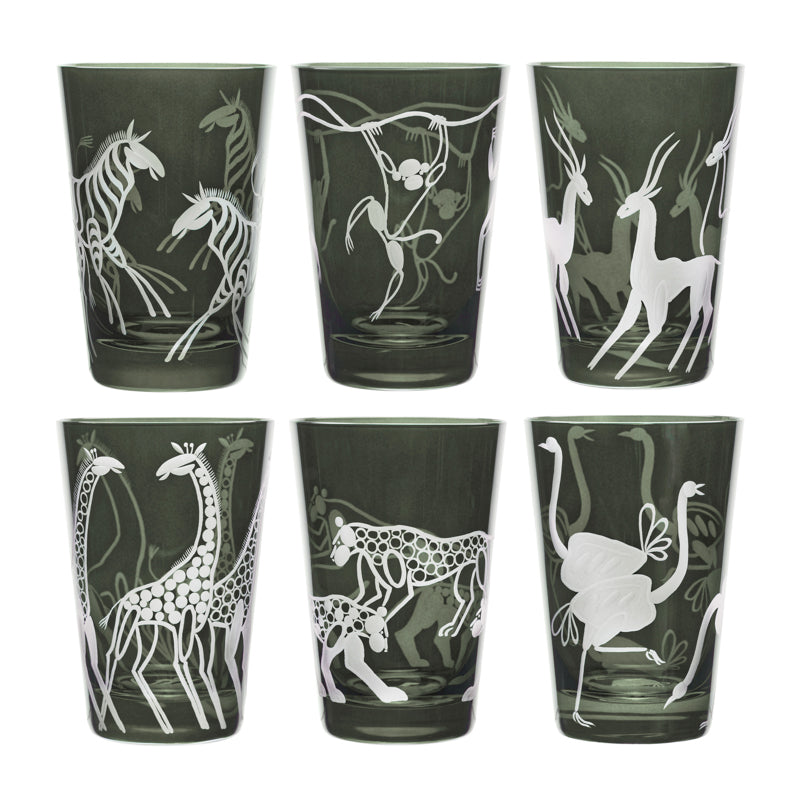 Safari Zebras
