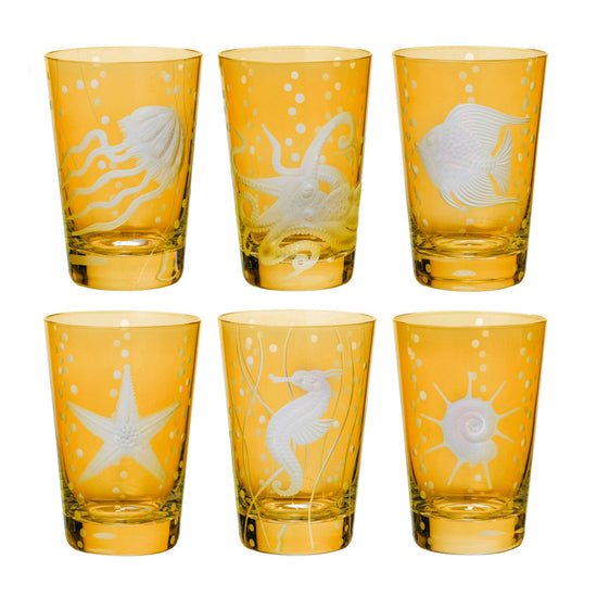 Sea Life Collection Set