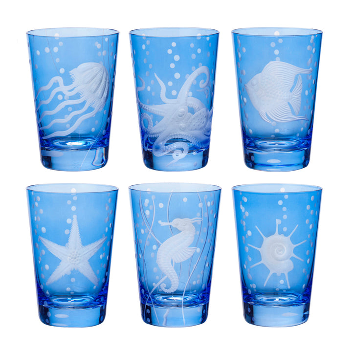 Sea Life Collection Set