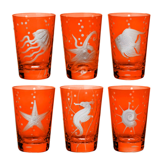 Sea Life Collection Set