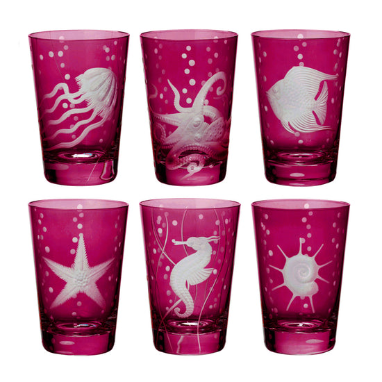 Sea Life Collection Set