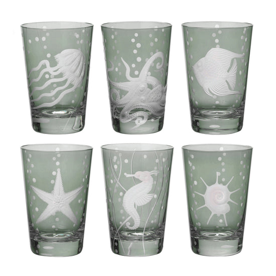 Sea Life Collection Set