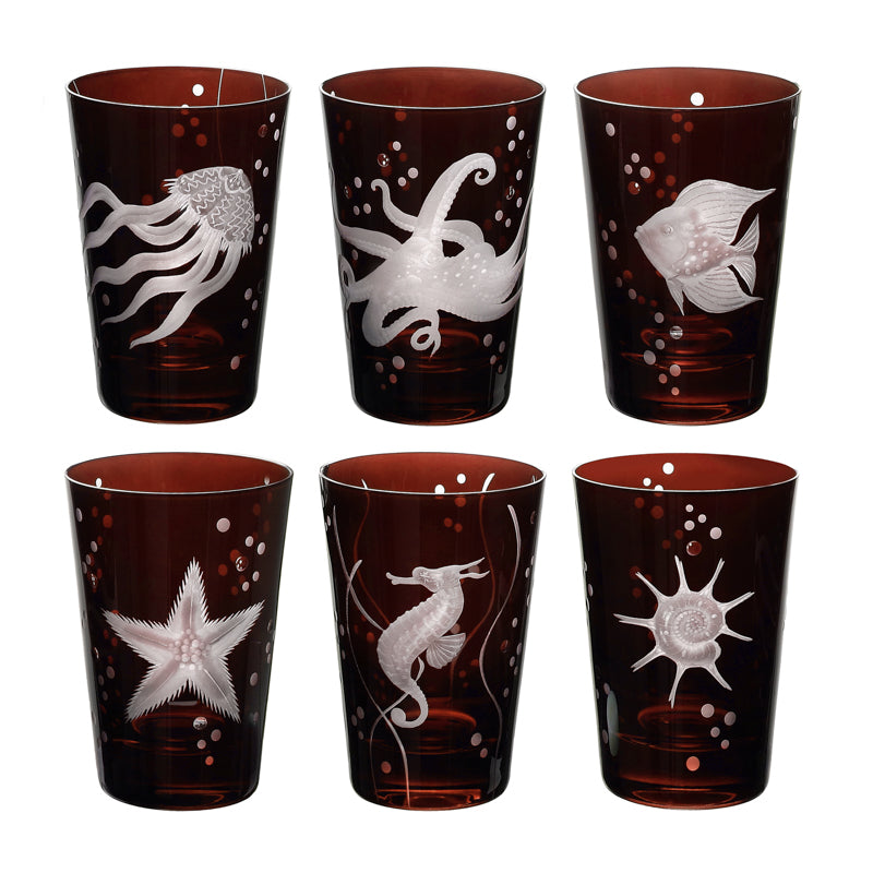 Sea Life Collection Set