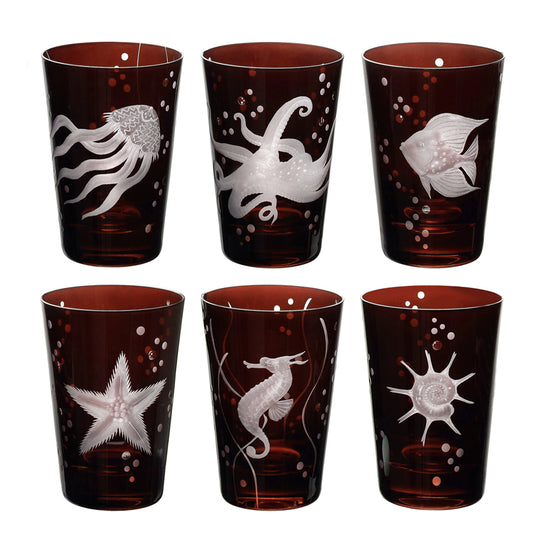 Sea Life Collection Set