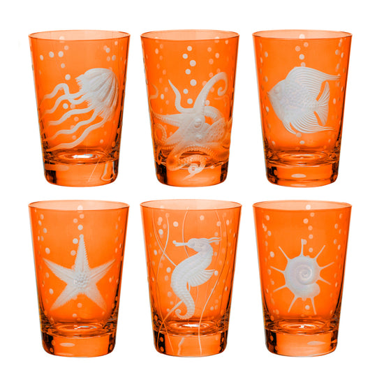 Sea Life Collection Set