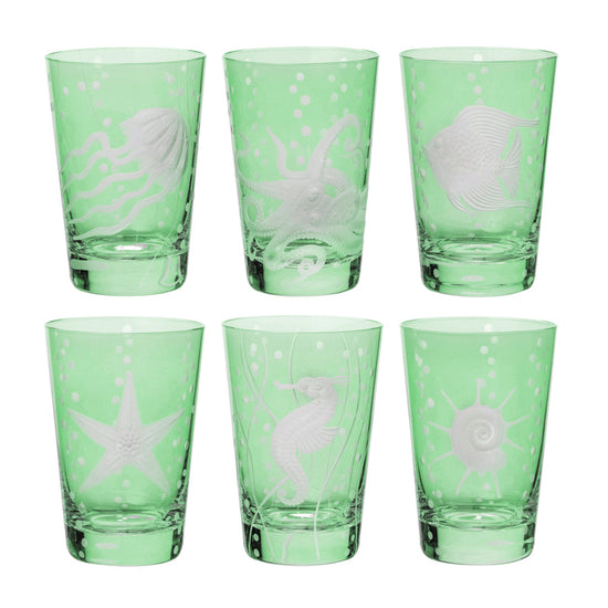 Sea Life Collection Set