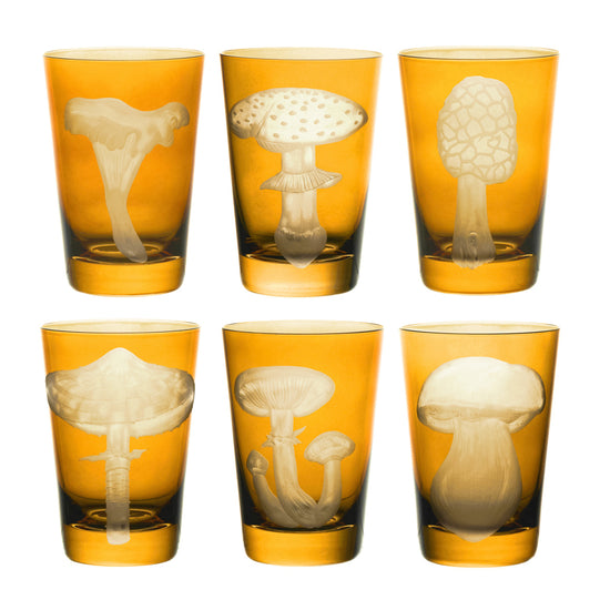 Mushrooms Honey Fungus