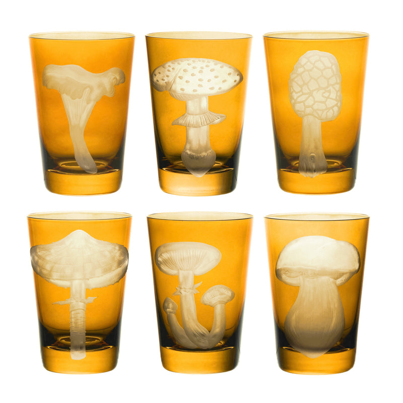 Mushrooms Morel