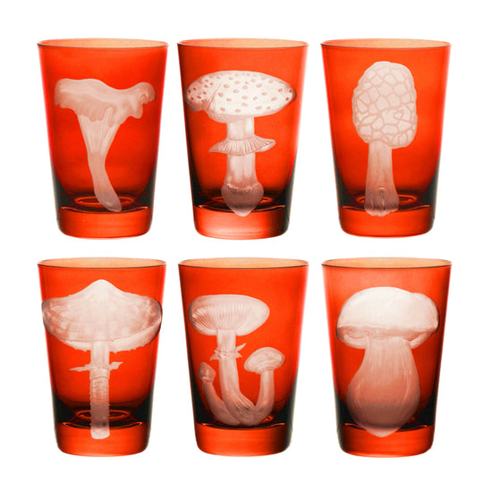 Mushrooms Fly Amanita