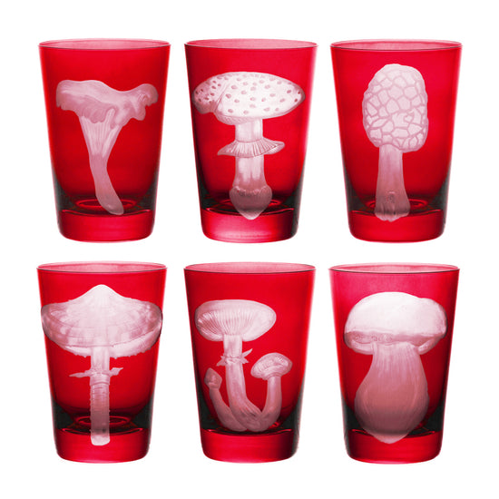 Mushrooms Parasol