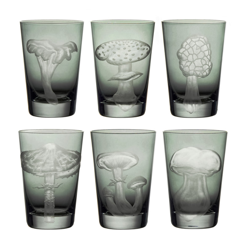 Mushrooms Collection Set