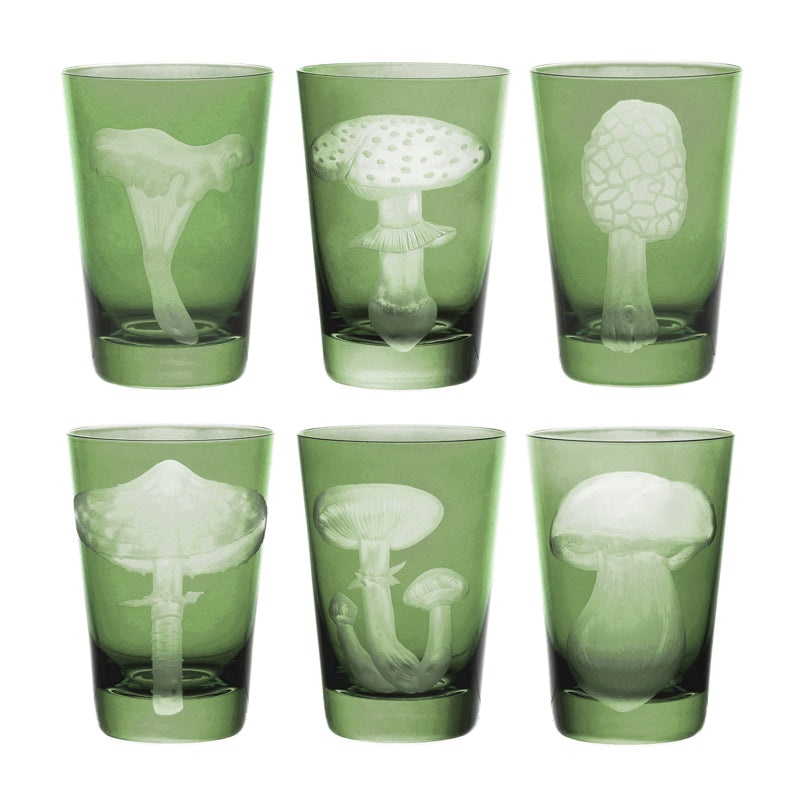 Mushrooms Collection Set