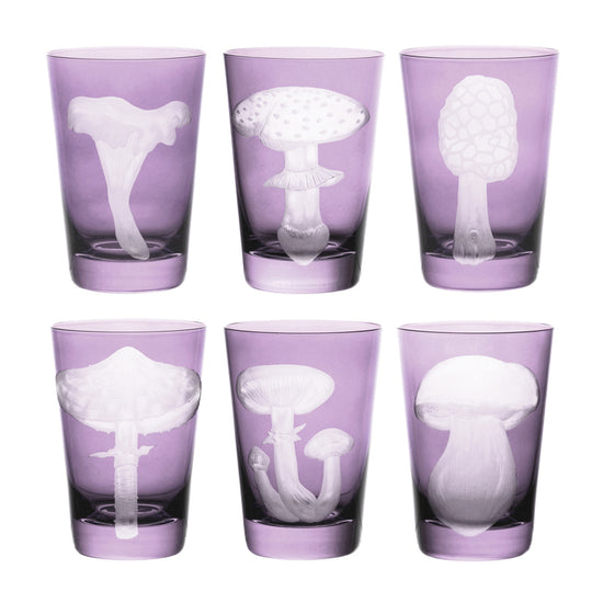 Mushrooms Collection Set