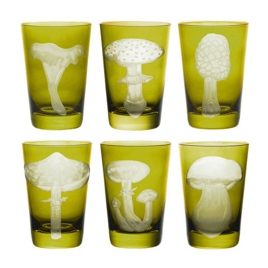 Mushrooms Morel