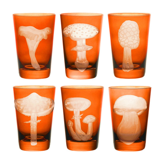 Mushrooms Fly Amanita