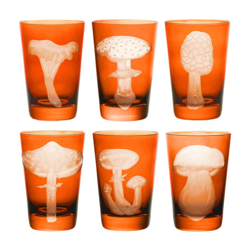 Mushrooms Chanterelle — Tumbler Set, Orange