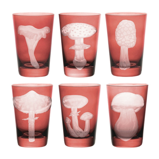 Mushrooms Collection Set