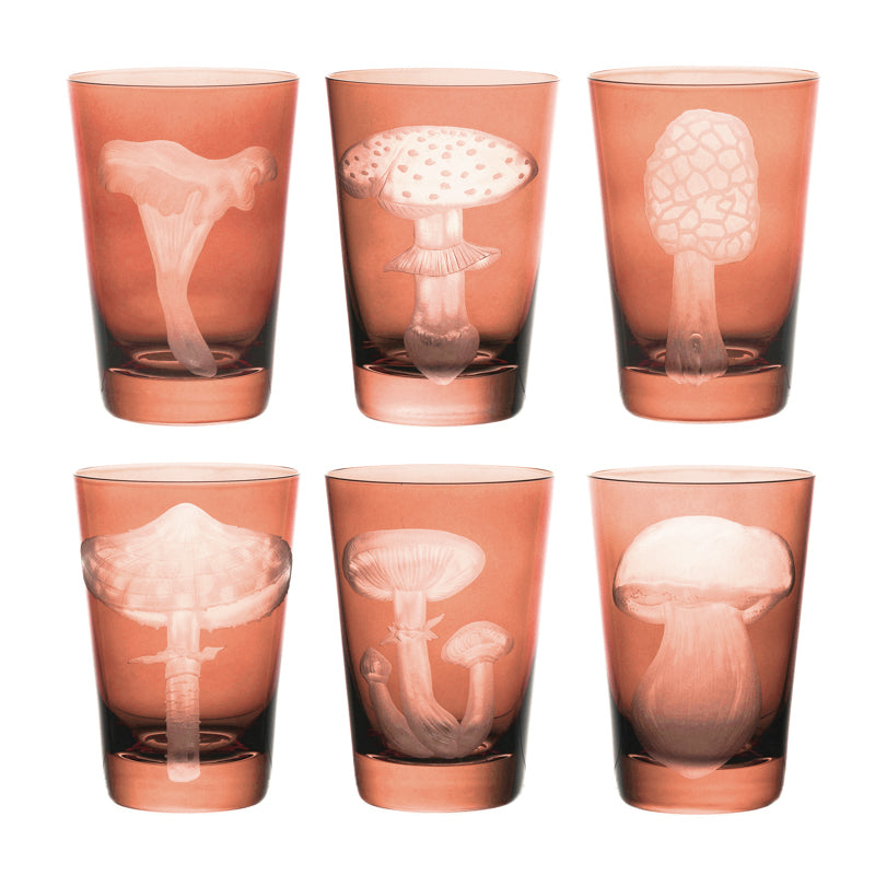 Mushrooms Collection Set