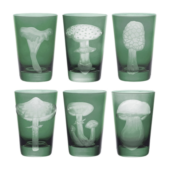 Mushrooms Collection Set